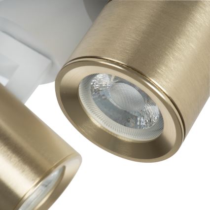 Φωτιστικό σποτ LAURIN 2xGU10/10W/230V ορείχαλκος/λευκό