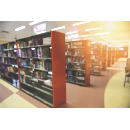 Φωτιστικό οροφής LED LINCEA LED/15/20/24W/230V 3000/4000/6500K IK08 IP40