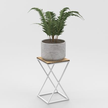 Κασπώ 40x24 cm λευκό