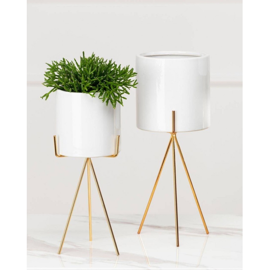 Κασπώ με βάση EMMA 32,5x13 cm λευκό/χρυσό