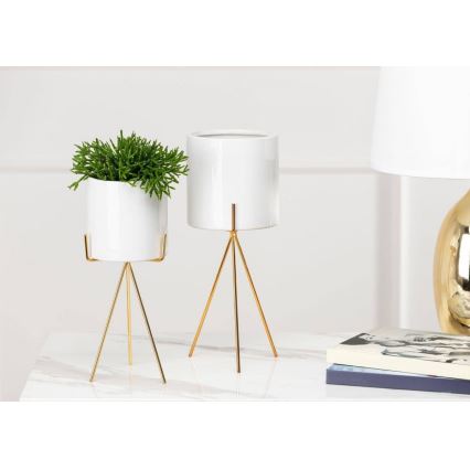 Κασπώ με βάση EMMA 32,5x13 cm λευκό/χρυσό