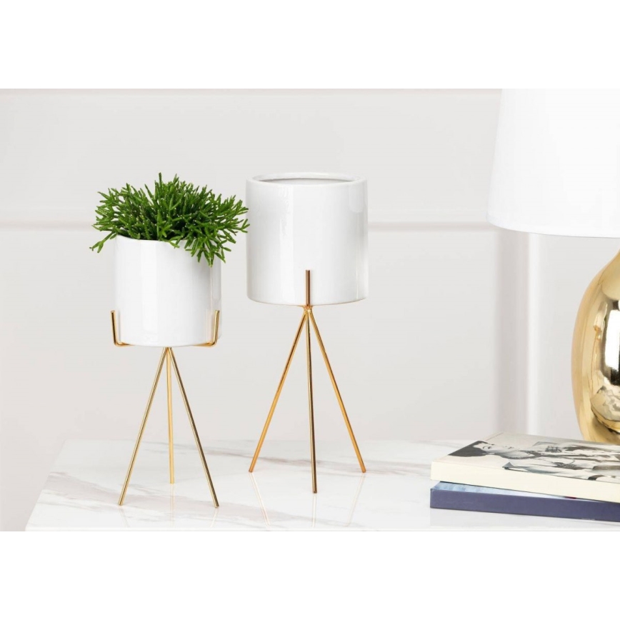 Κασπώ με βάση EMMA 32,5x13 cm λευκό/χρυσό