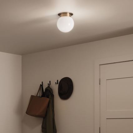 Kichler KL-ALBERS-F-G-CPZ-Φωτιστικό οροφής ALBERS 1xE27/40W/230V Ø20,3 εκ. χρυσό