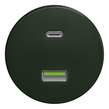 Kliklap - Ρετρό USB πρίζα A+C χωρίς πλαίσιο πράσινη