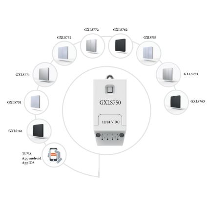 Κινητικός ασύρματος διακόπτης 2P IP67 ασημί