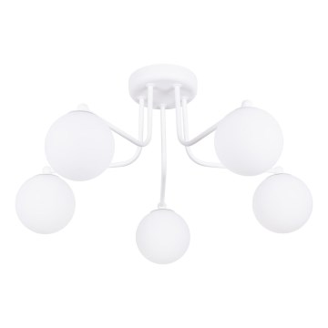 Κρεμαστό φωτιστικό ASTRAL 5xG9/8W/230V λευκό