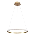 Κρεμαστό φωτιστικό LED DIANA με καλώδιο, 25W/230V, 4000K, Ø 50 cm, χρυσό