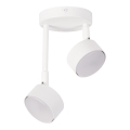 Κρεμαστό φωτιστικό NEMO 2xGX53/12W/230V λευκό