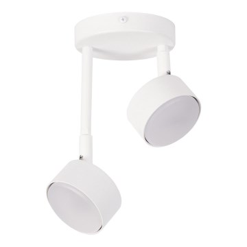 Κρεμαστό φωτιστικό NEMO 2xGX53/12W/230V λευκό