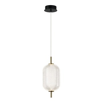 Κρεμαστό φωτιστικό σε σύρμα PELLUCID LED/11W/230V χρυσό/διάφανο