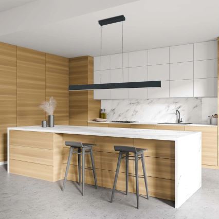 Κρεμαστό φωτιστικό με καλώδιο BERNADETTA LED/20W/230V 4000K μαύρο