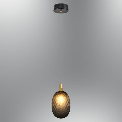 Κρεμαστό φωτιστικό με καλώδιο CACTUS 1xG9/5W/230V μαύρο