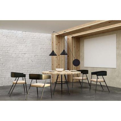 Κρεμαστό φωτιστικό οροφής ABRAMO 2xE27/15W/230V μαύρο