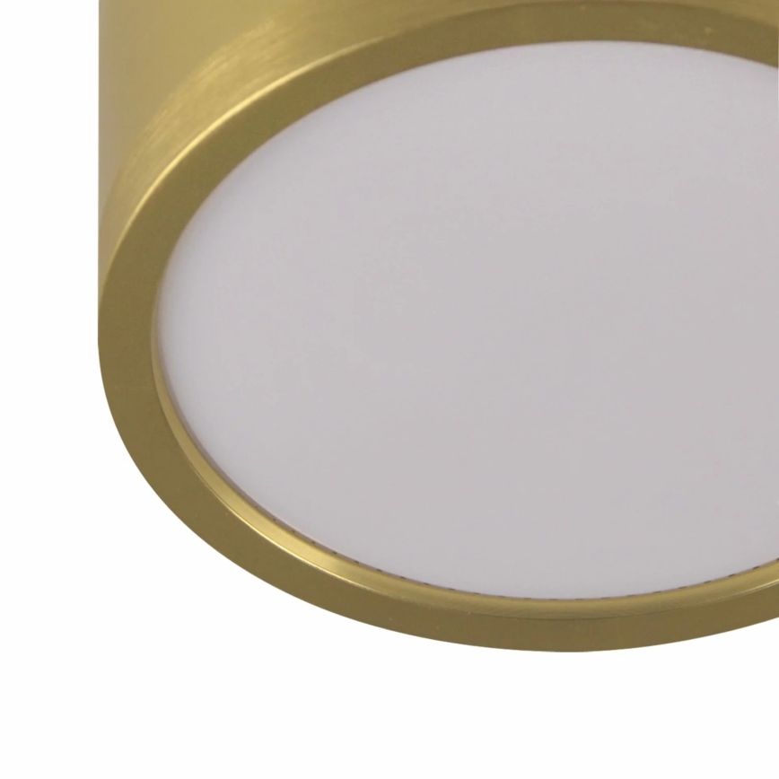 Κρεμαστό φωτιστικό οροφής LED MIRELLA 4xGX53/6W/230V χρυσό/μαύρο