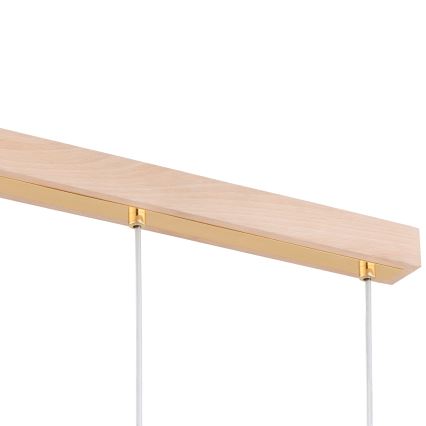 Κρεμαστό φωτιστικό οροφής ράγα EVIC 3xE27/60W/230V