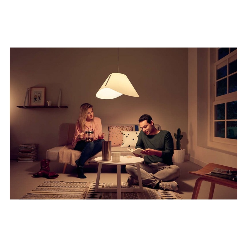 Κρεμαστός φωτισμός οροφής E27/60W/230V