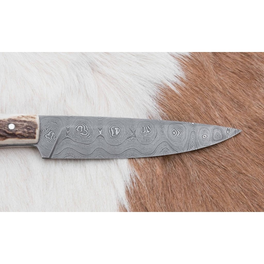 Κυνηγετικό μαχαίρι αποστολών 12 cm κέρατο ελαφιού