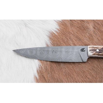 Κυνηγετικό μαχαίρι αποστολών 12 cm κέρατο ελαφιού