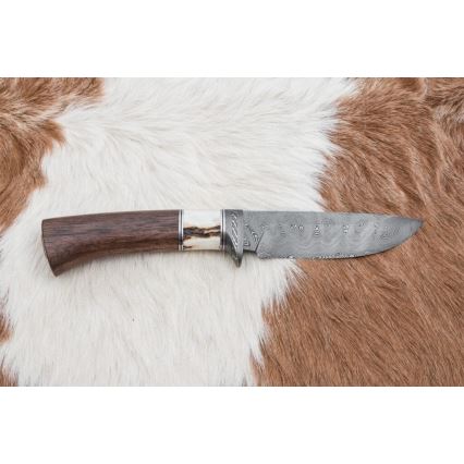 Κυνηγετικό μαχαίρι Δαμασκού 11,8 cm καρυδιά/κέρατο ελαφιού