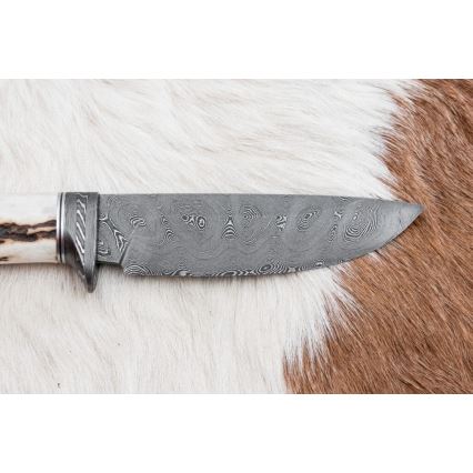 Κυνηγετικό μαχαίρι Δαμασκού 11,8 cm καρυδιά/κέρατο ελαφιού