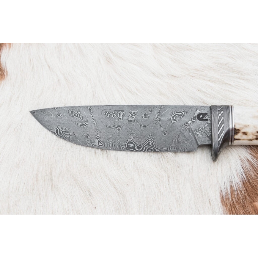 Κυνηγετικό μαχαίρι Δαμασκού 11,8 cm καρυδιά/κέρατο ελαφιού