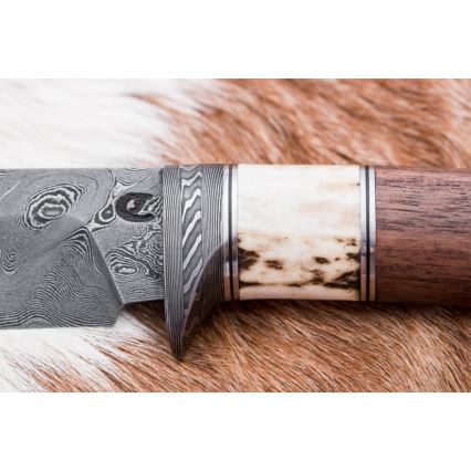 Κυνηγετικό μαχαίρι Δαμασκού 11,8 cm καρυδιά/κέρατο ελαφιού