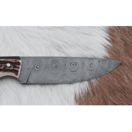Κυνηγετικό μαχαίρι Δαμασκού 11 cm κέρατο ελαφιού