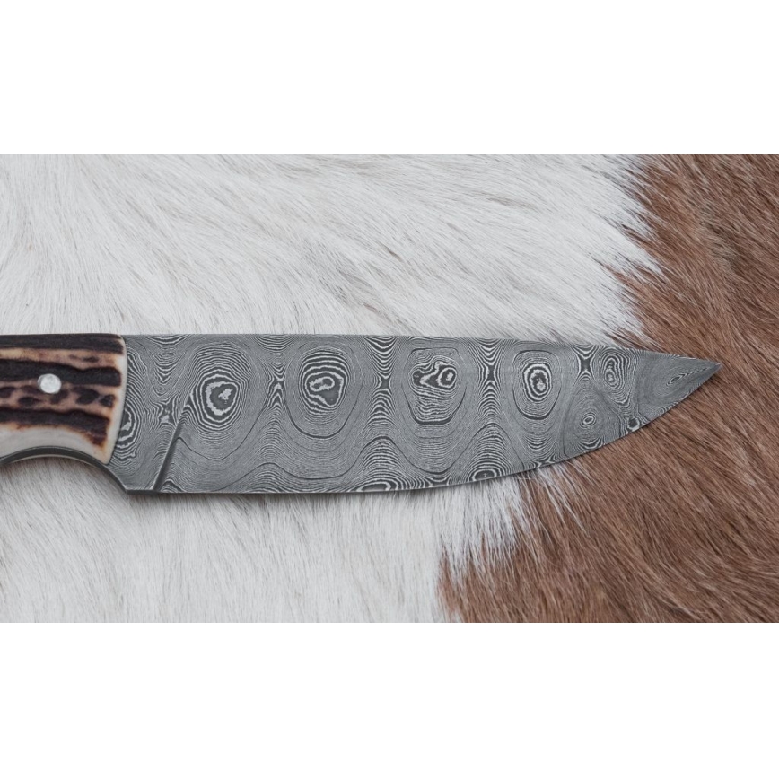 Κυνηγετικό μαχαίρι Δαμασκού 11 cm κέρατο ελαφιού