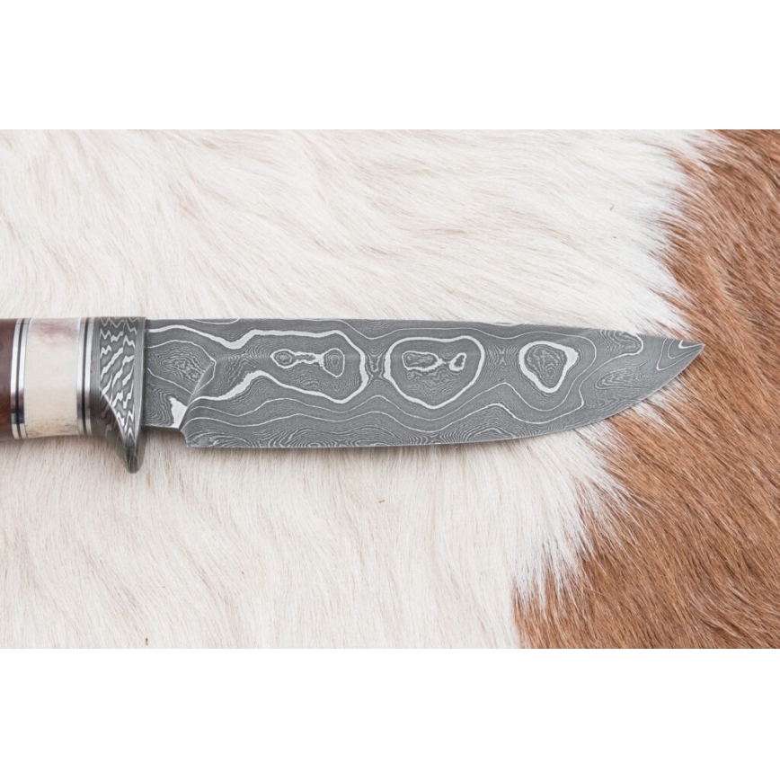 Κυνηγετικό μαχαίρι Δαμασκού 12,4 cm Σημύδα/κέρατο ταράνδου