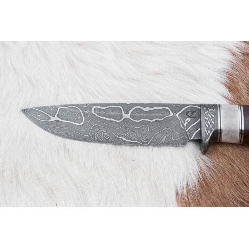 Κυνηγετικό μαχαίρι Δαμασκού 12,4 cm Σημύδα/κέρατο ταράνδου