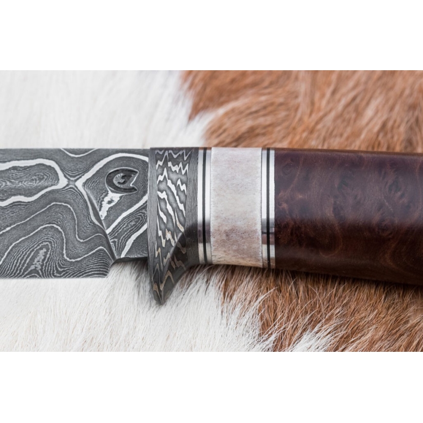 Κυνηγετικό μαχαίρι Δαμασκού 12,4 cm Σημύδα/κέρατο ταράνδου