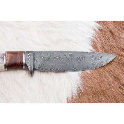 Κυνηγετικό μαχαίρι Δαμασκού 12 cm στάχτη/κέρατο ελαφιού