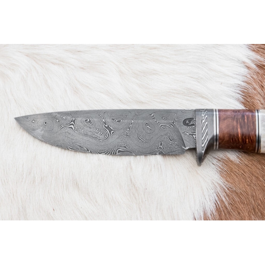 Κυνηγετικό μαχαίρι Δαμασκού 12 cm στάχτη/κέρατο ελαφιού