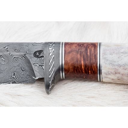 Κυνηγετικό μαχαίρι Δαμασκού 12 cm στάχτη/κέρατο ελαφιού