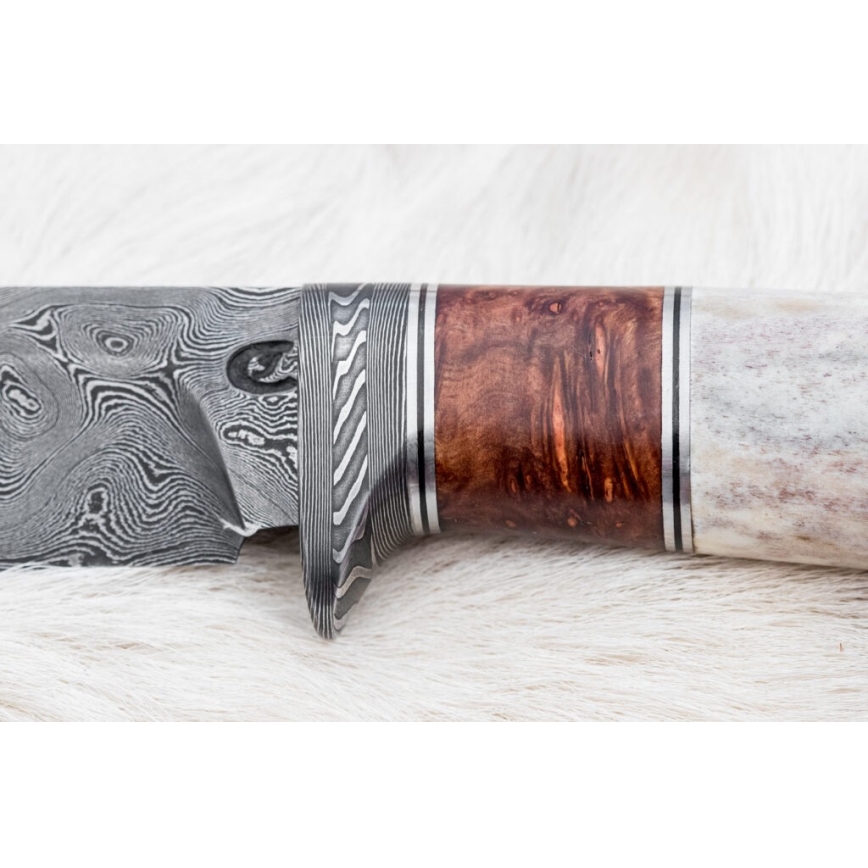 Κυνηγετικό μαχαίρι Δαμασκού 12 cm στάχτη/κέρατο ελαφιού