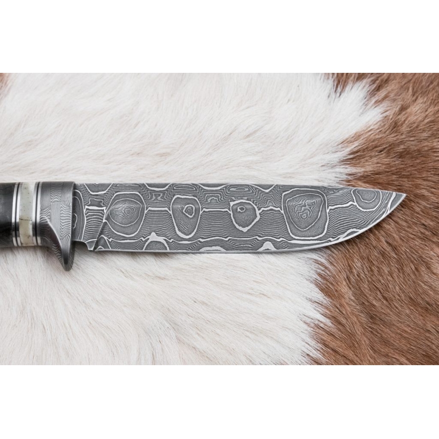 Κυνηγετικό μαχαίρι Δαμασκού 13,8 cm Σημύδα/κόκκαλο καμήλας