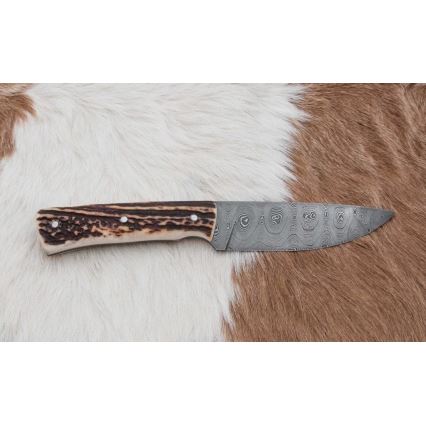 Κυνηγετικό μαχαίρι Δαμασκού με μίνι πριόνι 11 cm κέρατο ελαφιού