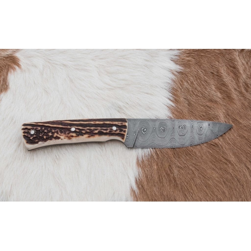 Κυνηγετικό μαχαίρι Δαμασκού με μίνι πριόνι 11 cm κέρατο ελαφιού