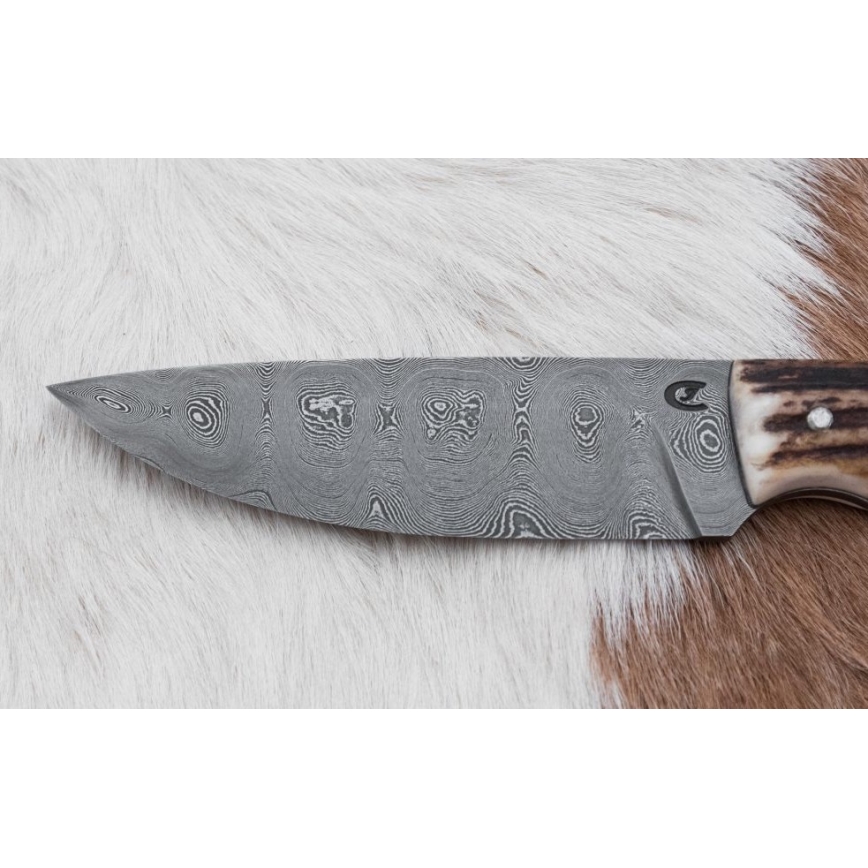Κυνηγετικό μαχαίρι Δαμασκού με μίνι πριόνι 11 cm κέρατο ελαφιού