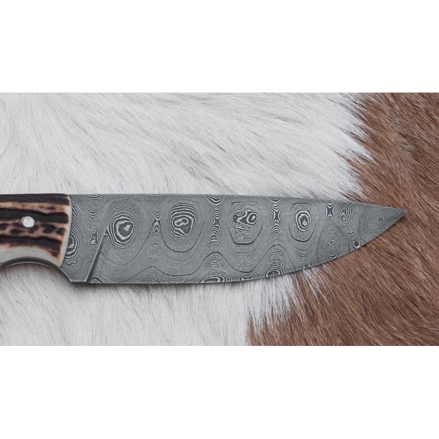 Κυνηγετικό μαχαίρι Δαμασκού με μίνι πριόνι 11 cm κέρατο ελαφιού