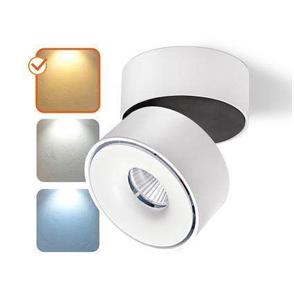 LED Ρυθμιζόμενο Σποτ Φωτιστικό LAHTI MINI LED/9W/230V 3000K CRI 90 λευκό