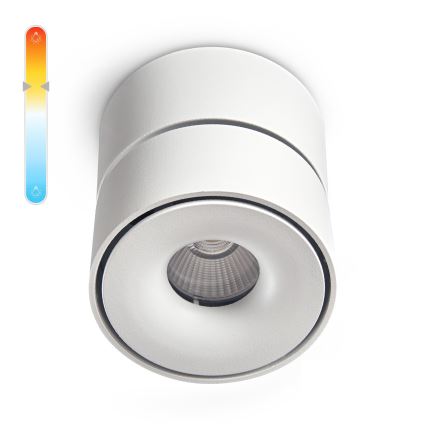 LED Ρυθμιζόμενο Σποτ Φωτιστικό LAHTI MINI LED/9W/230V 3000K CRI 90 λευκό