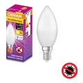 LED Αντιβακτηριδιακός λαμπτήρας B40 E14/4,9W/230V 2700K - Osram