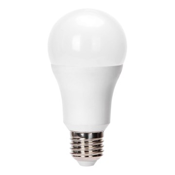 LED Λάμπα A60 E27/24W/230V 6500K - Aigostar