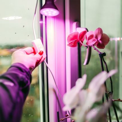 LED Λάμπα για ανάπτυξη φυτών PLANTY E27/7W/230V 1200K μαύρη