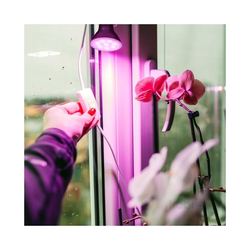 LED Λάμπα για ανάπτυξη φυτών PLANTY E27/7W/230V 1200K μαύρη