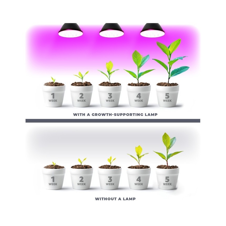 LED Λάμπα για ανάπτυξη φυτών PLANTY E27/7W/230V 1200K μαύρη