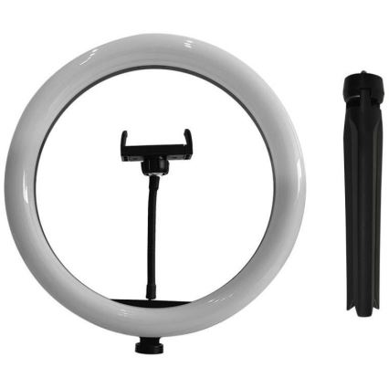 LED Λάμπα dimming with tripod και holder για vlogging LED/10W/5V 3200-5500K