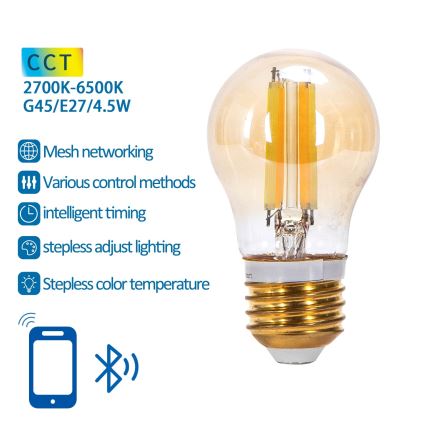 LED Ρυθμιζόμενη Λάμπα FILAMENT MESH Smart G45 E27/4,5W/230V 2700-6500K - Aigostar