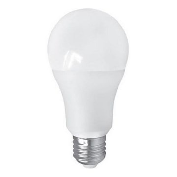 LED Λάμπα PITT A60 AC/DC E27/12W/24V 4000K
